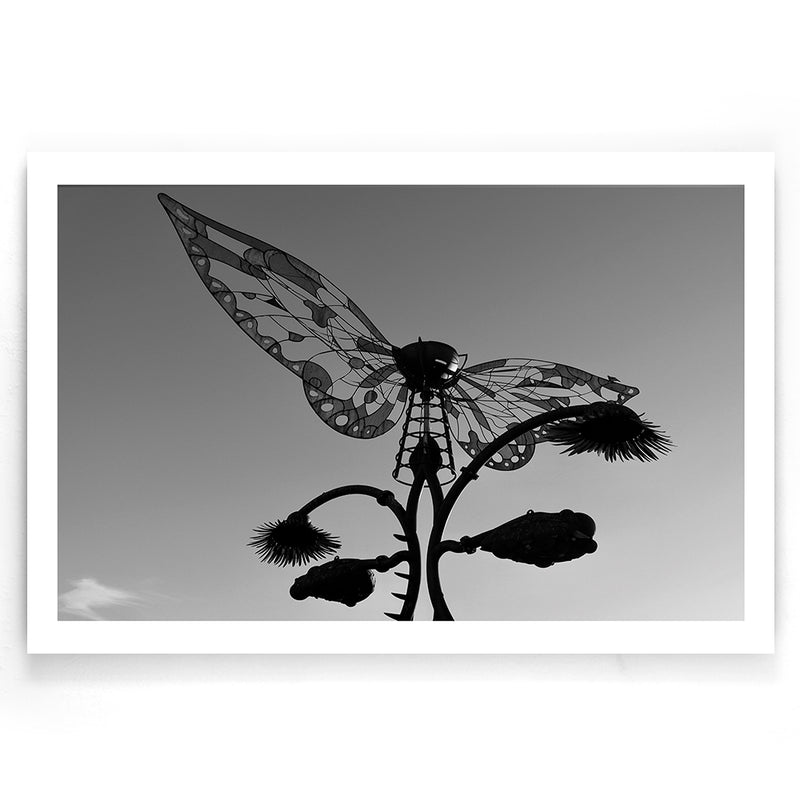 Burning Man - Butterfly Structure