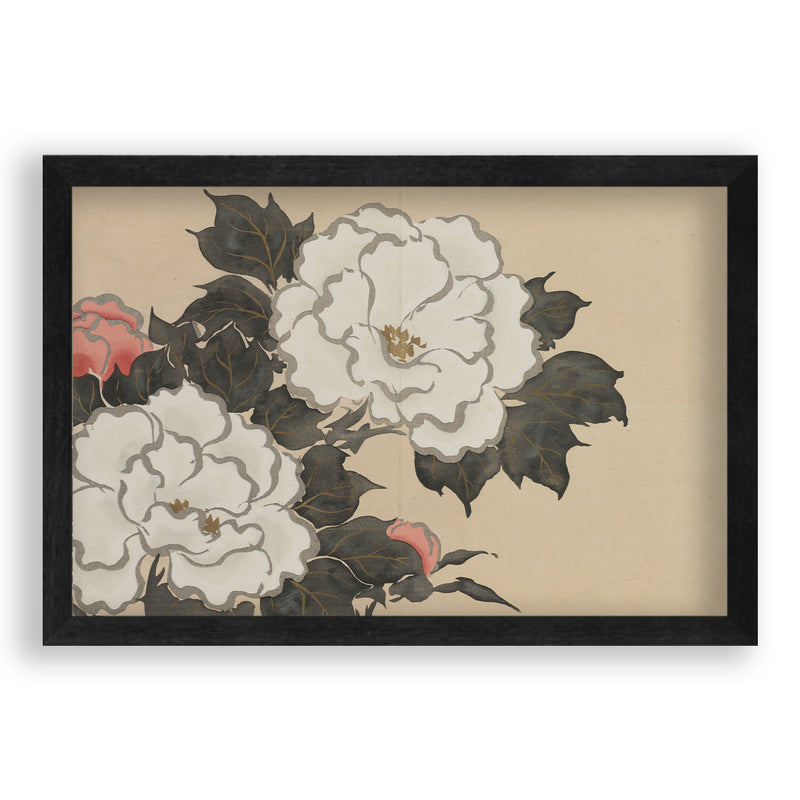 Kamisaka Sekka - Peonies