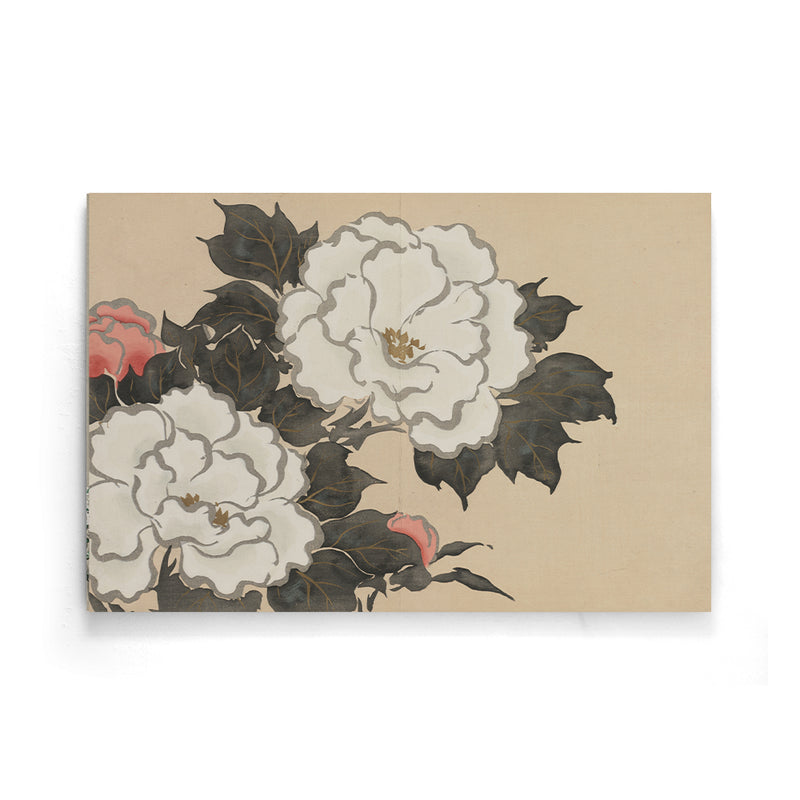 Kamisaka Sekka - Peonies