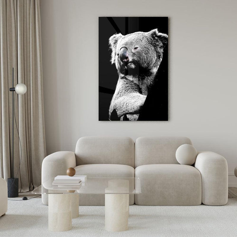 Hanging Koala - Walljar