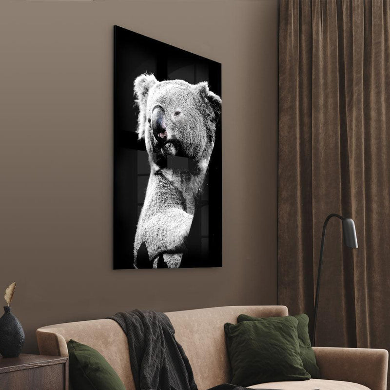 Hanging Koala - Walljar