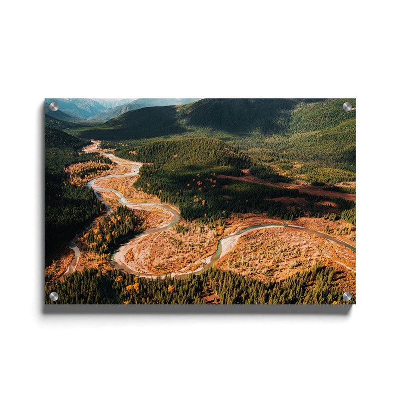 Canadian Forest poster - Walljar