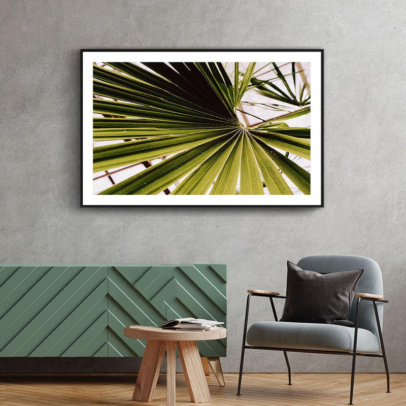 Palm poster