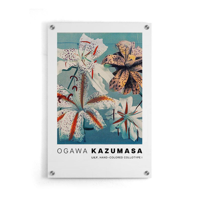 Ogawa Kazumasa - Lily, hand–colored collotype I - Walljar