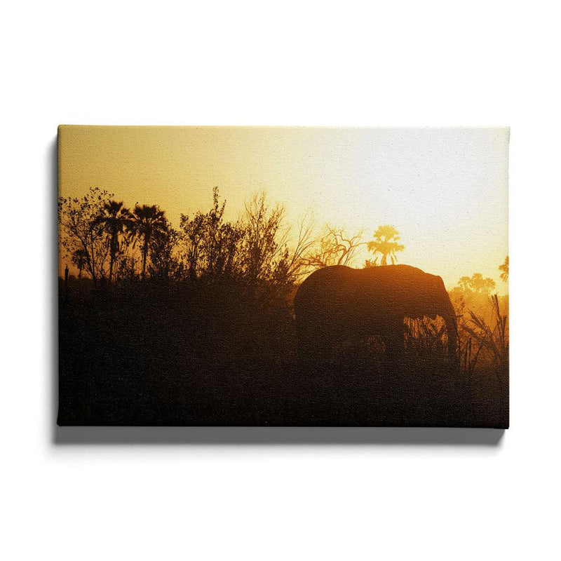 Olifant poster