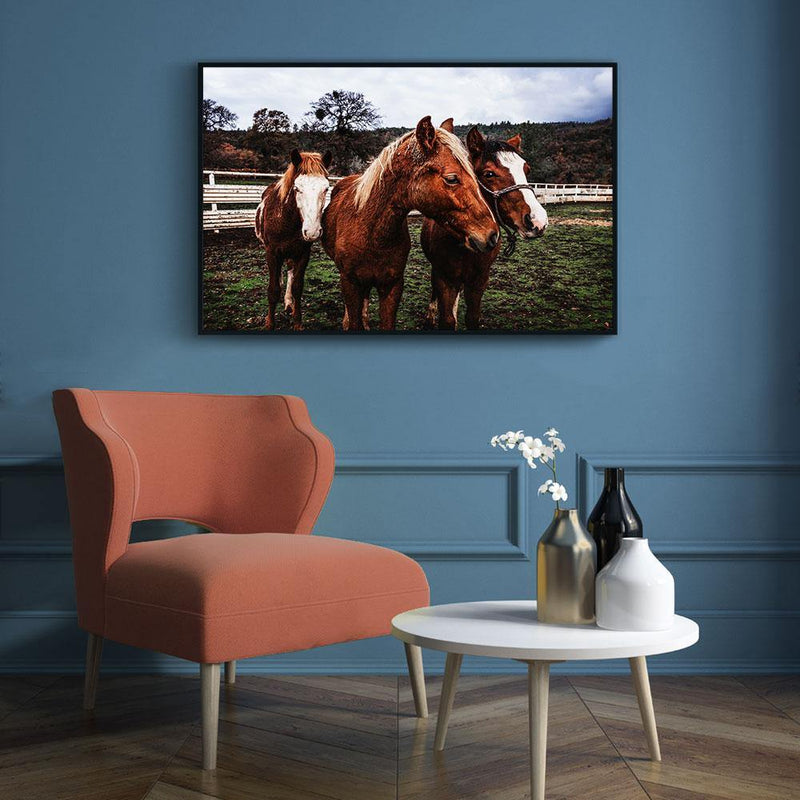 Paarden poster