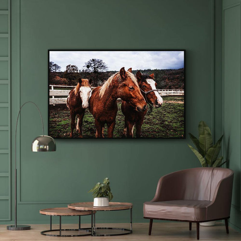 Paarden poster