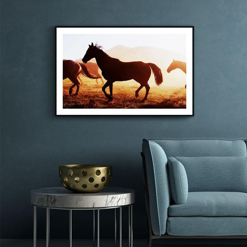 Paarden poster