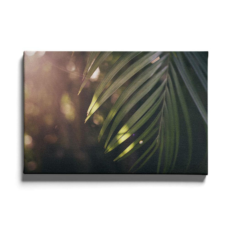 Palm poster