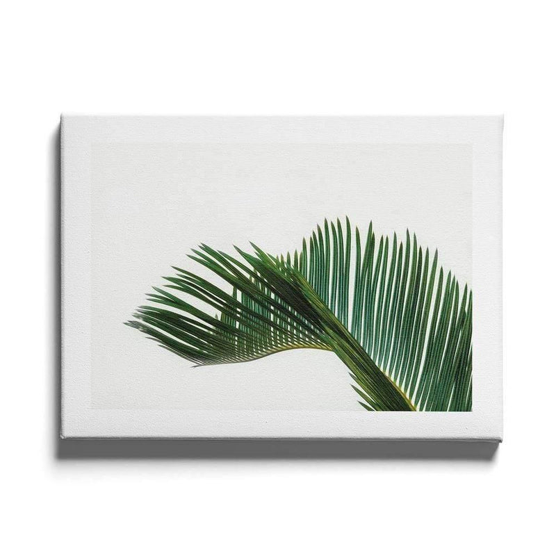 Palm Leaves canvas