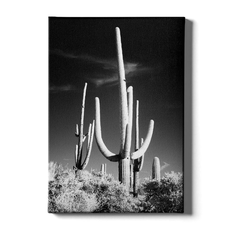 Cactus poster