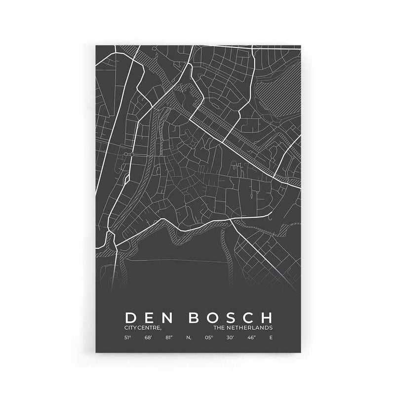 Stadskaart Den Bosch Centrum poster