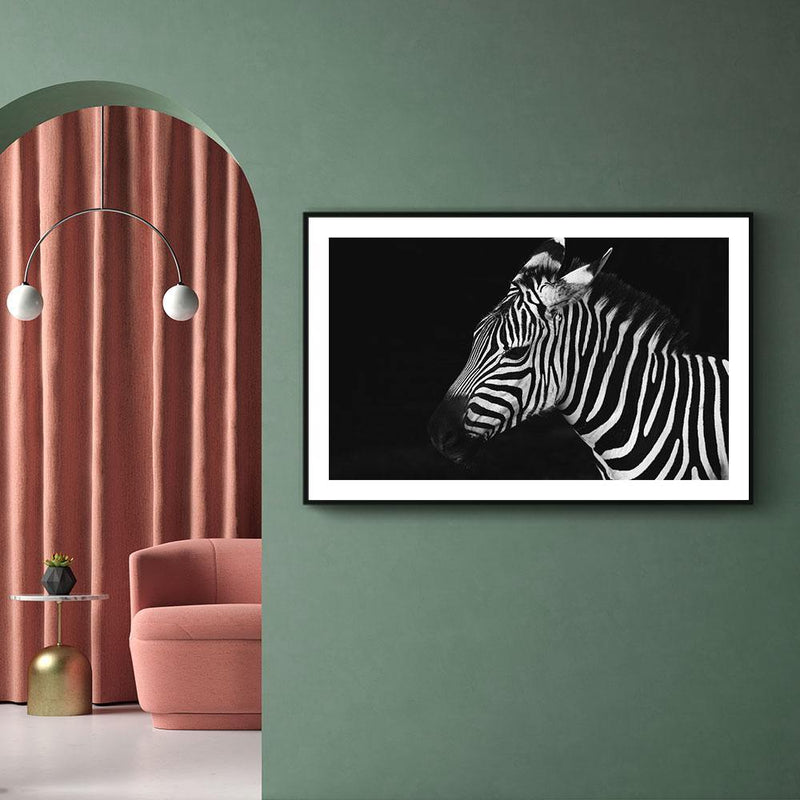 Zebra poster