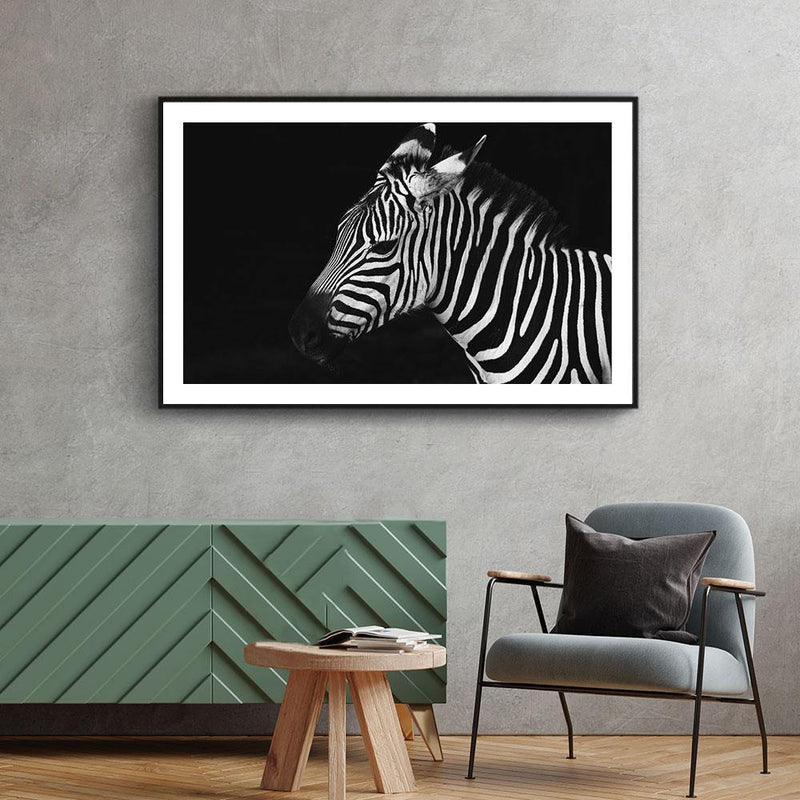 Zebra poster