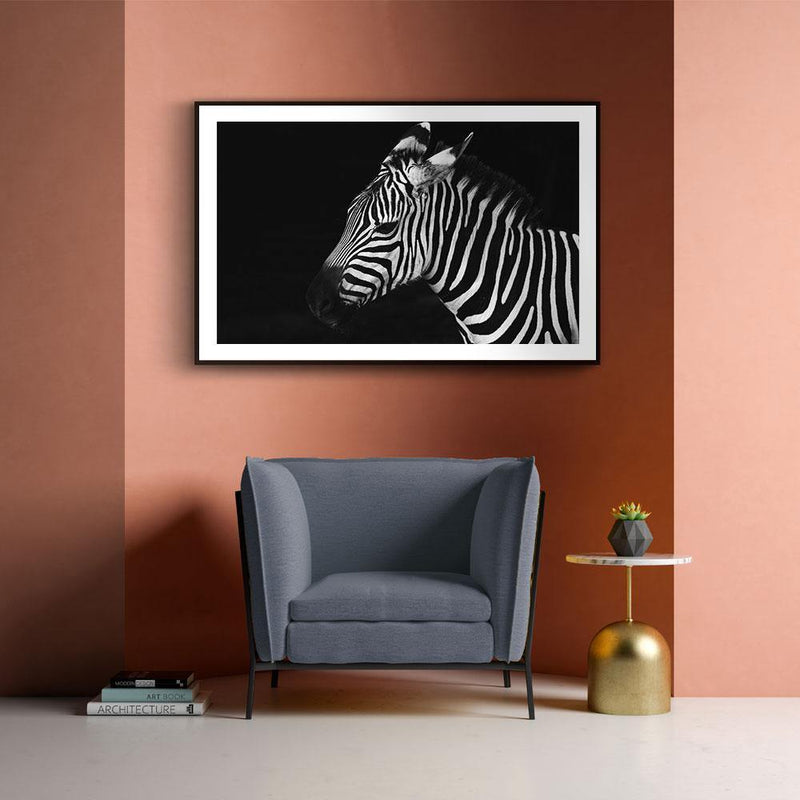 Zebra poster