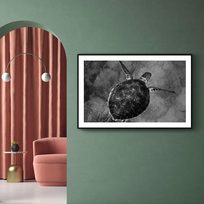 Schildpad poster